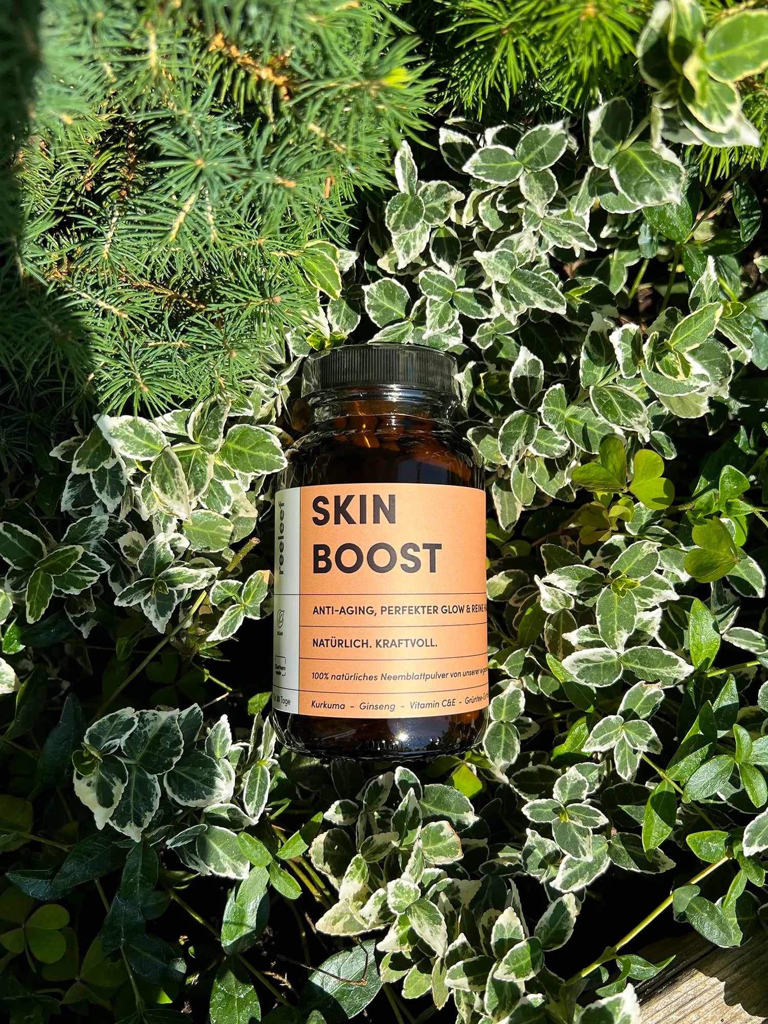 Kunden Bewertung reeleef Skin Boost Neem Kapseln für innere Schönheit und klare HAut mit Neem Pulver gepresst in Neem Kapseln